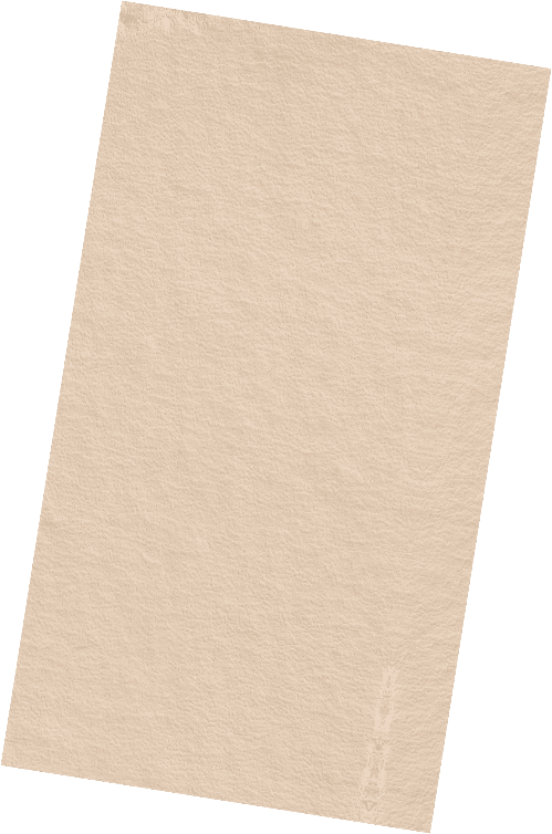 Video background